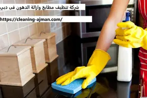 شركة تنظيف مطابخ في دبي