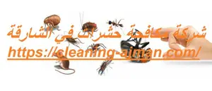[صورة: %D8%B4%D8%B1%D9%83%D8%A9-%D9%85%D9%83%D8...9.jpg.webp]