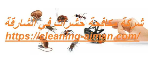 شركة مكافحة حشرات في الشارقة