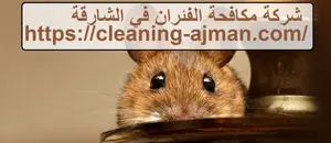 [صورة: %D8%B4%D8%B1%D9%83%D8%A9-%D9%85%D9%83%D8...0.jpg.webp]