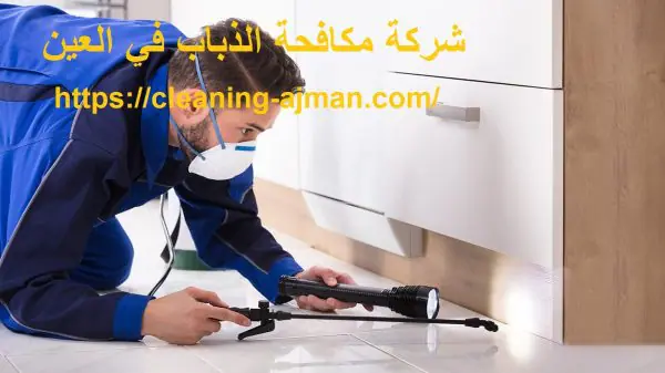 شركة مكافحة الذباب في العين