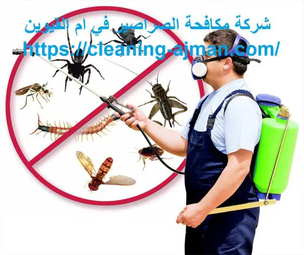 شركة مكافحة الصراصير في ام القيوين
