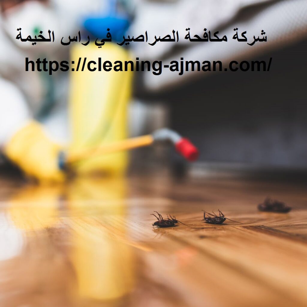 شركة مكافحة الصراصير في راس الخيمة