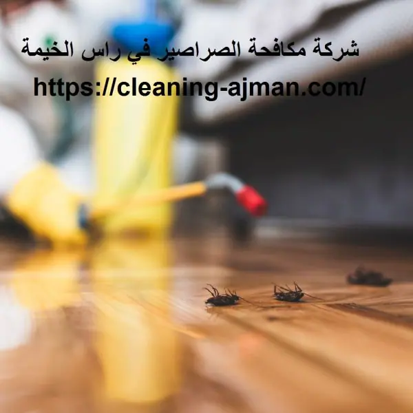 شركة مكافحة الصراصير في راس الخيمة