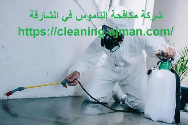 شركة مكافحة الناموس في الشارقة