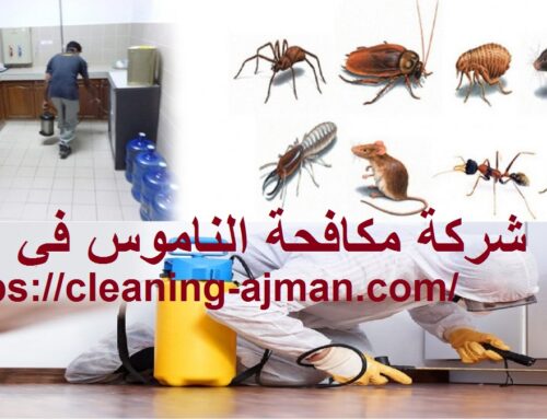شركة مكافحة الناموس في العين |0501640311| رش حشرات