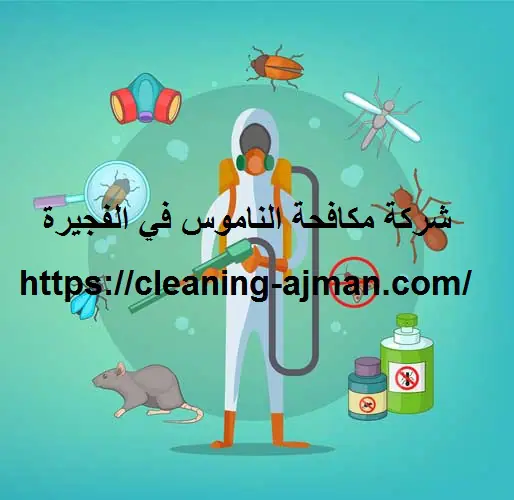 شركة مكافحة الناموس في الفجيرة
