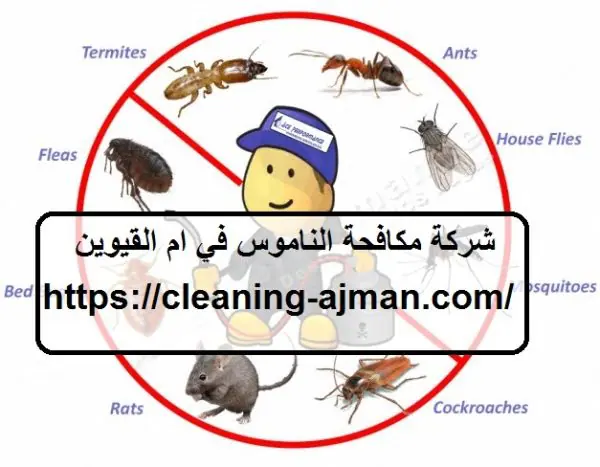 شركة مكافحة الناموس في ام القيوين