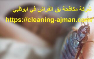 شركة مكافحة بق الفراش في ابوظبي