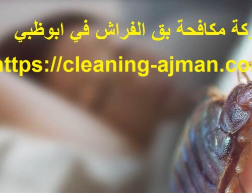 شركة مكافحة بق الفراش في ابوظبي |0501640311| رش حشرات