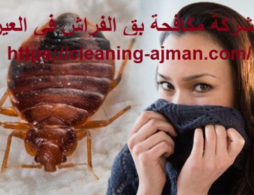 شركة مكافحة بق الفراش في العين |0501640311| رش حشرات