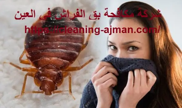 شركة مكافحة بق الفراش في العين