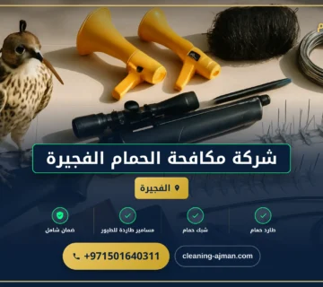 صورة شركة مكافحة الحمام الفجيرة |0501640311 | طارد الحمام