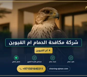 صورة شركة مكافحة الحمام ام القيوين |0501640311 |مكافحة الطيور