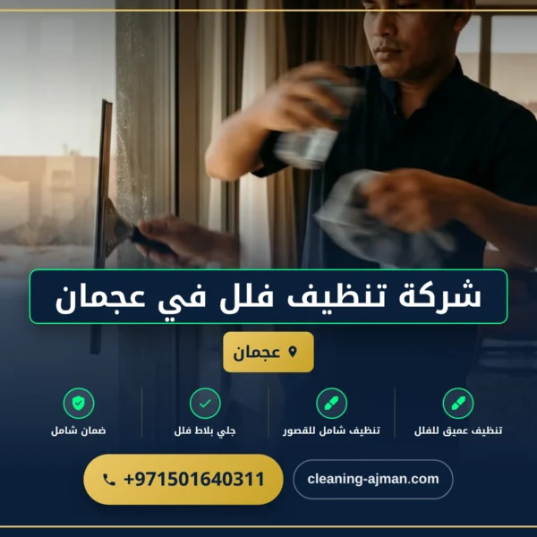 صورة شركة تنظيف فلل في عجمان |0501640311| تنظيف الفلل