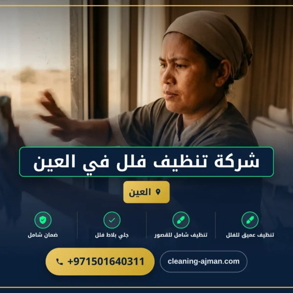 صورة شركة تنظيف فلل في العين |0501640311 |تعقيم فلل وقصور