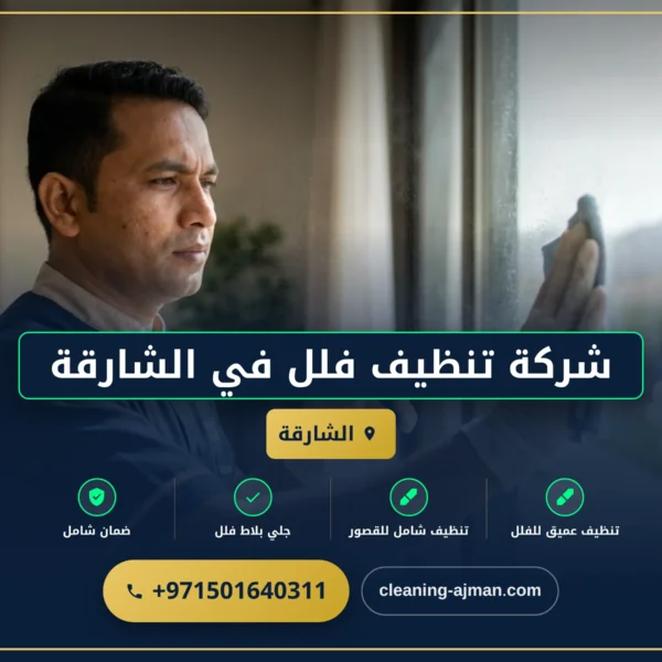 صورة شركة تنظيف فلل في الشارقة |0501640311| تنظيف الفلل