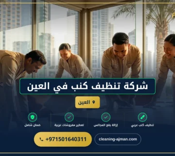 صورة شركة تنظيف كنب في العين |0501640311| تنظيف بالبخار