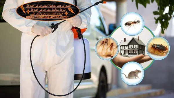 افضل شركات مكافحة الحشرات فى الشارقة