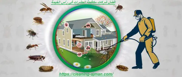 افضل شركات مكافحة الحشرات في رأس الخيمة