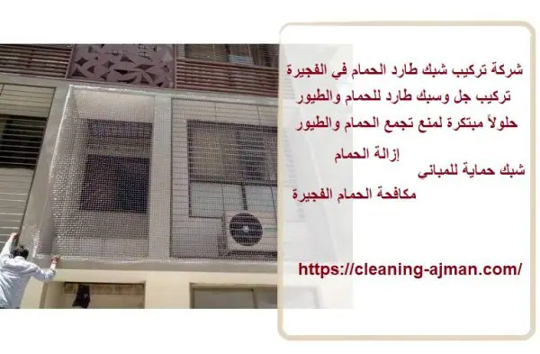 شركة تركيب شبك طارد الحمام في الفجيرة