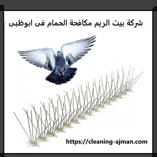 شركة بيت الريم مكافحة الحمام فى ابوظبى