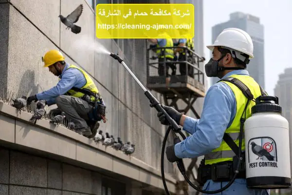 شركة مكافحة حمام في الشارقة