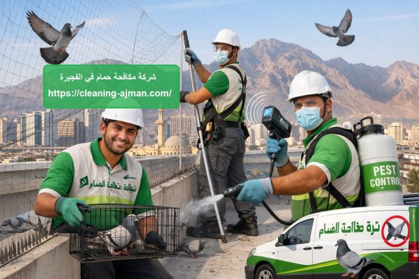 شركة مكافحة حمام في الفجيرة