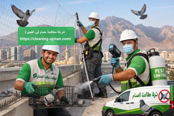 شركة مكافحة حمام في الفجيرة