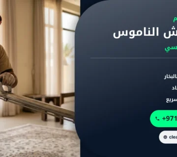 صورة افضل رش الناموس: كيف تتخلص من البعوض في المنزل والخارج بأمان